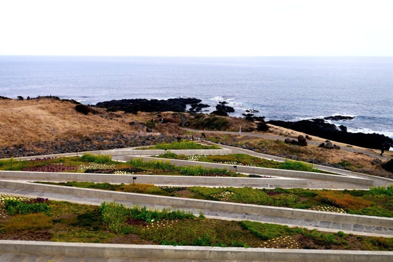view from restaurant