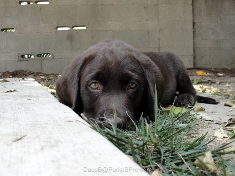 Hello!