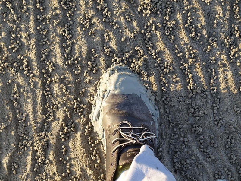 i got stuck in the mud that masquerade as the sand