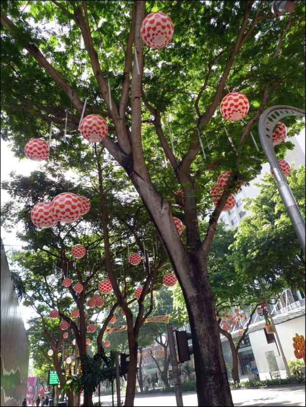 Orchard Road