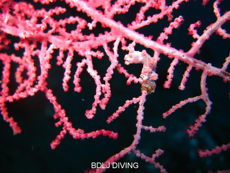 Look carefully. This is about 15mm tall