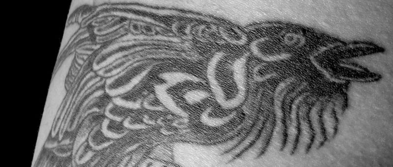 Tribal raven.