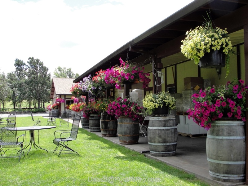 Our tour came with a vineyard picnic.
