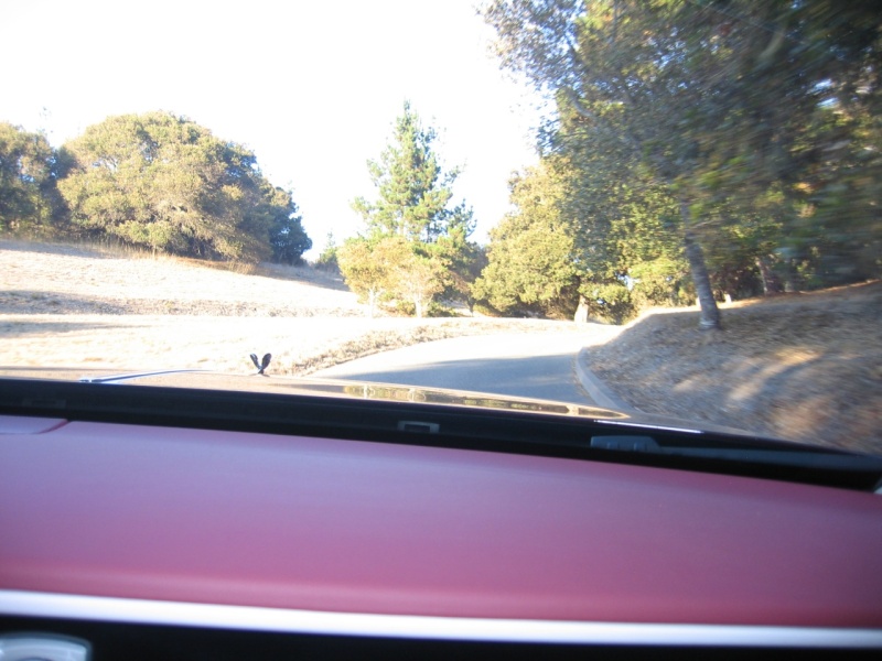 The long road within Tehama...