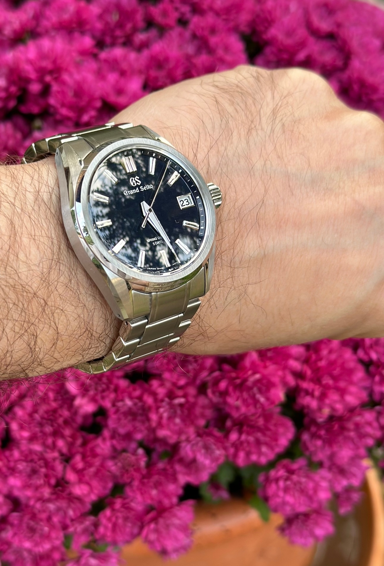 Watch by WristScan, SLGA021, Seiko, Grand Seiko
