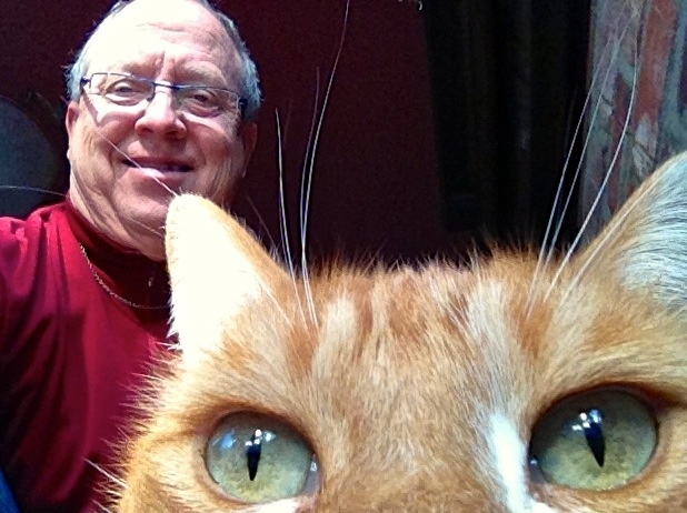 Cat Collar Camera