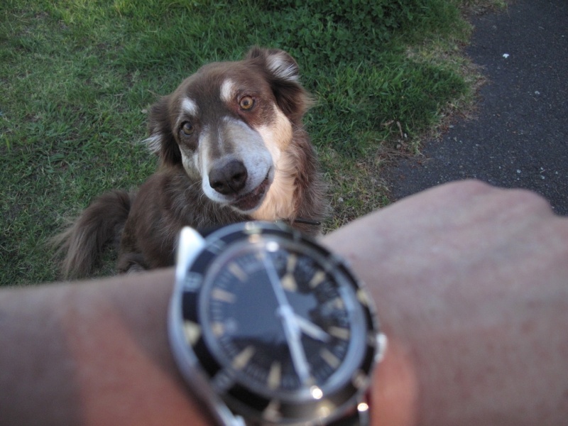 It's only a watch