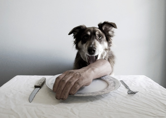 I have good table manners