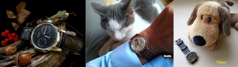 Glashütte by Anders & Panerai by T.Bean & Universal by noodia