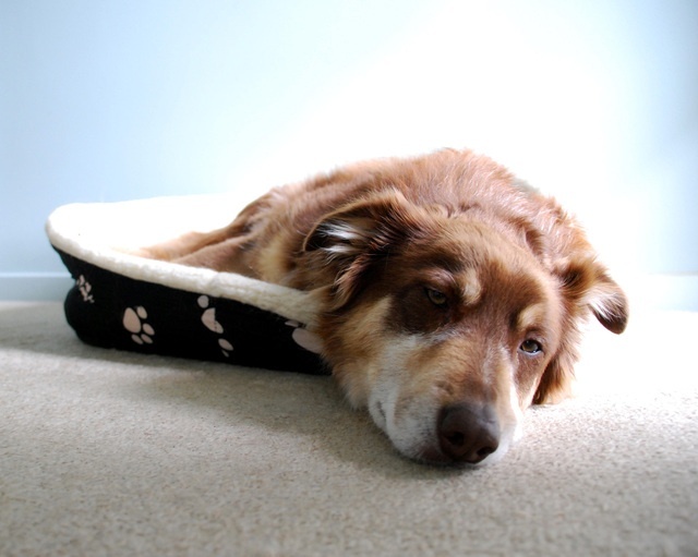 I love my beauty sleep. 
